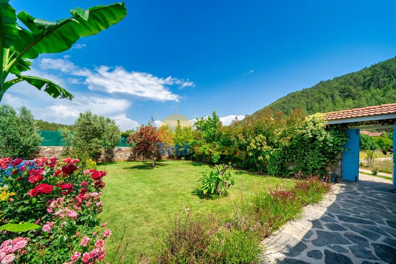 Villa Safira