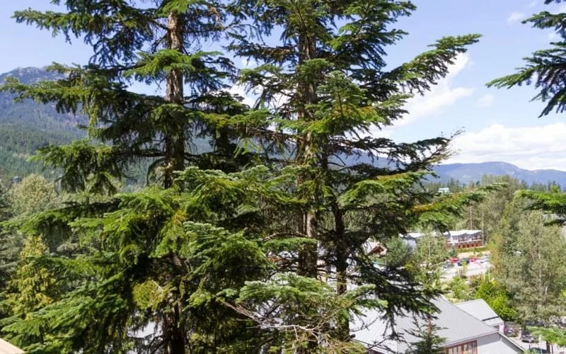 Vista desde la ventana del dormitorio
