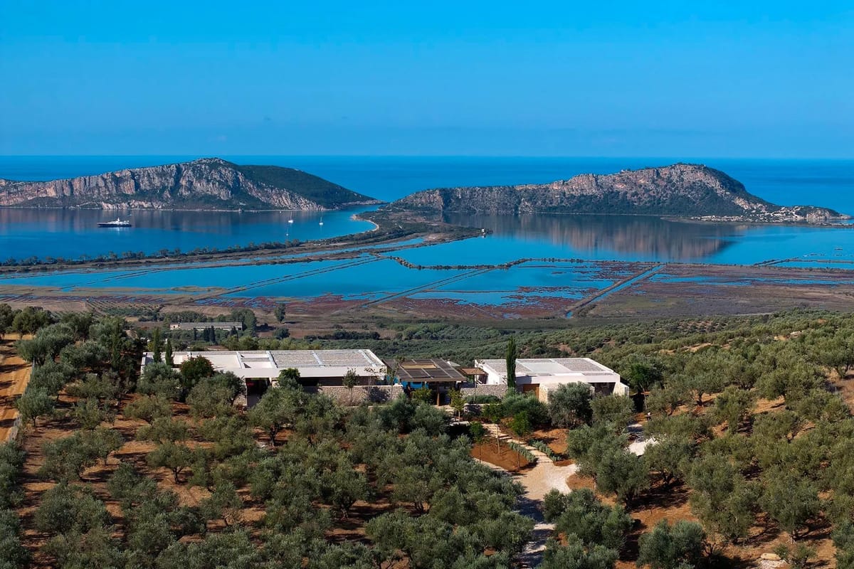 Gialova luxury villa Olivewood in Pylos - 3