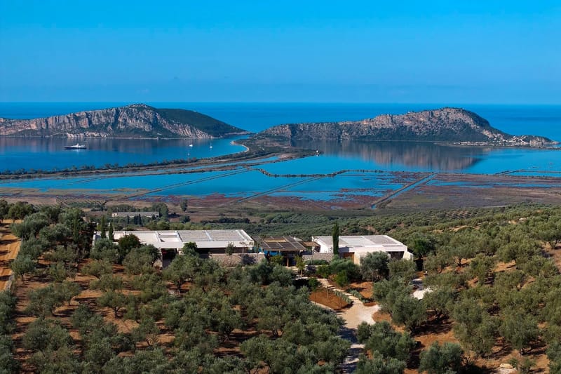 Gialova luxury villa Olivewood in Pylos - 3