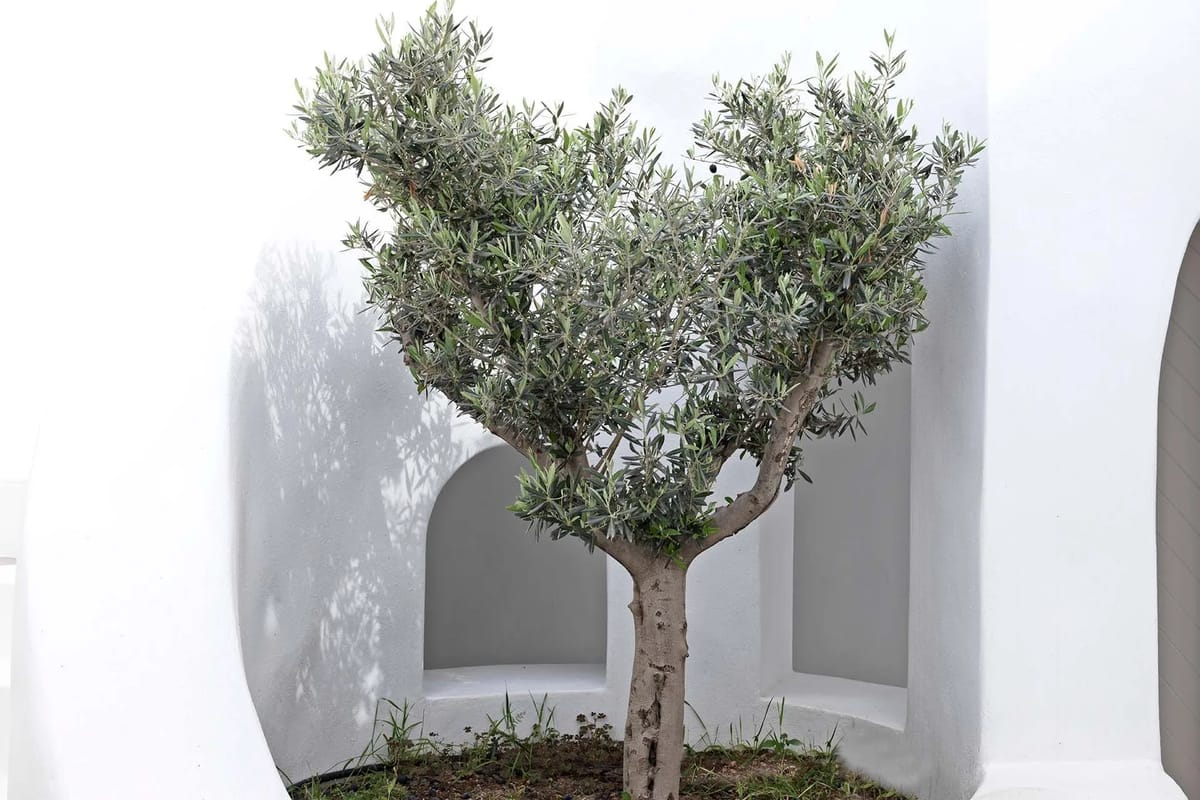 Villa de lujo Caelia en Imerovigli, Santorini - 1