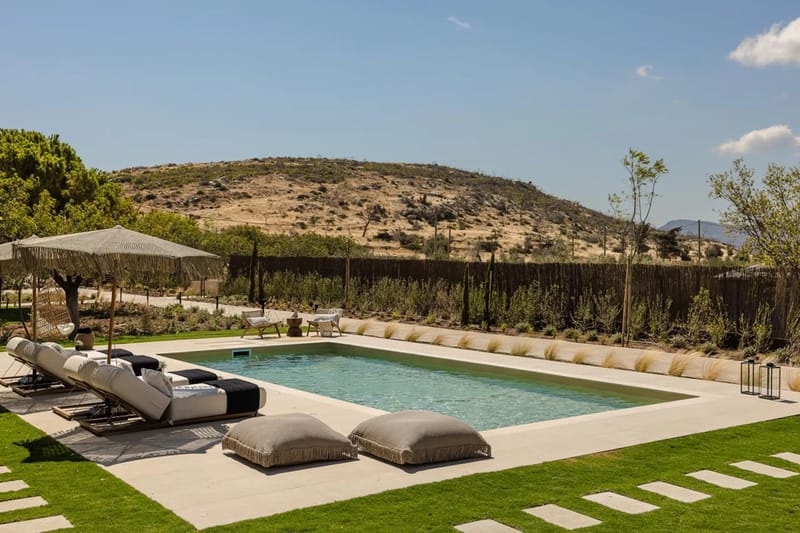 Chrysanthemum villa