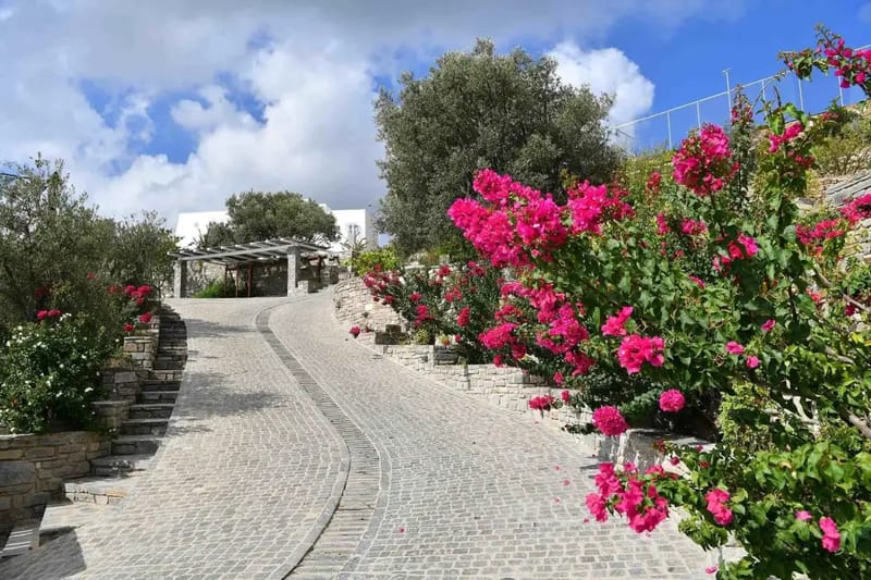 Paros luxury villa Mirabella in Costos - 3