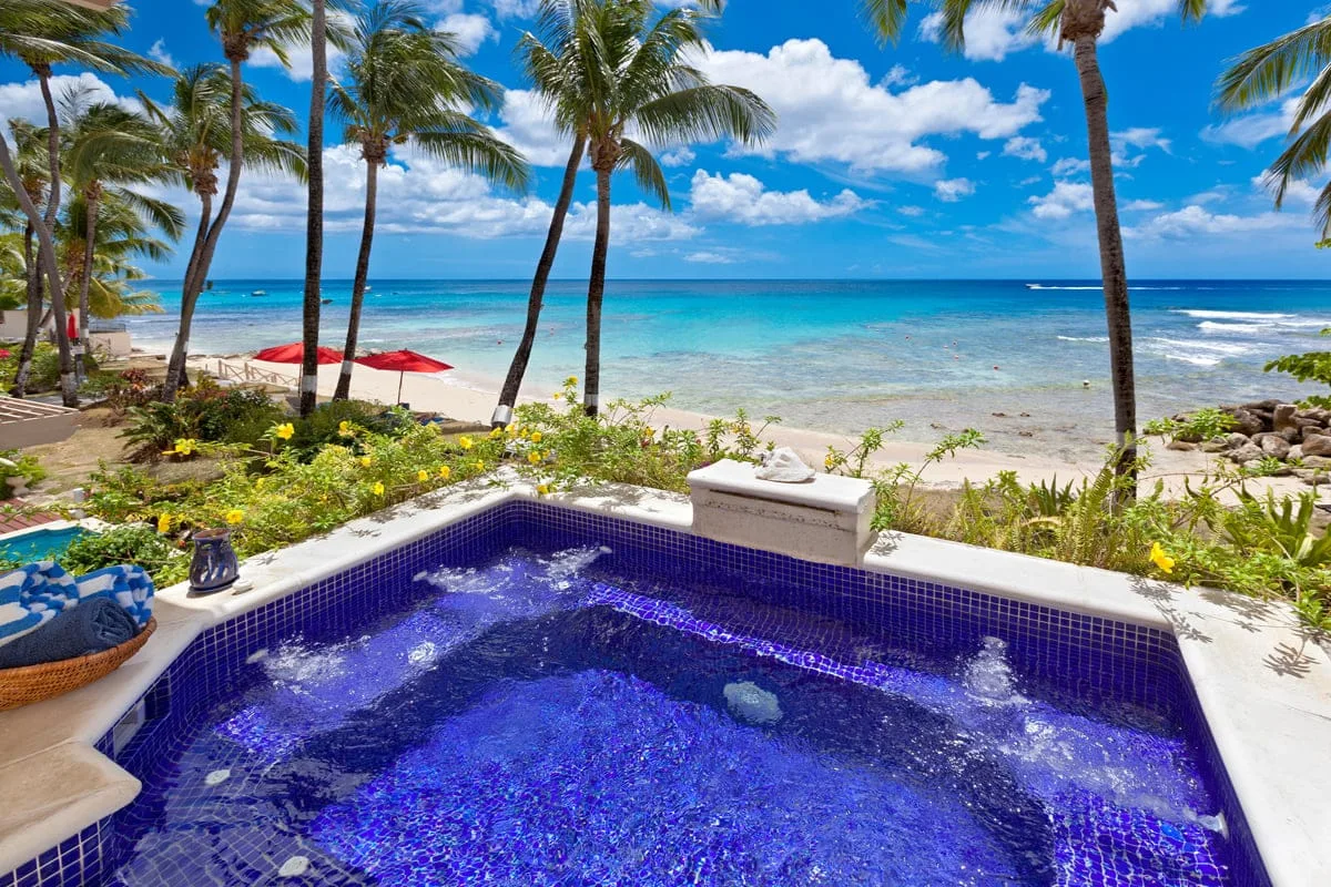 A tiled pool overlooks a palm-lined beach and turquoise ocean.