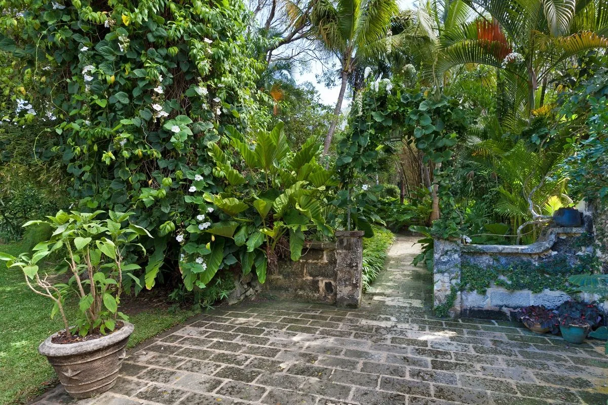 A stone garden path runs between lush tropical plants and low stone walls.