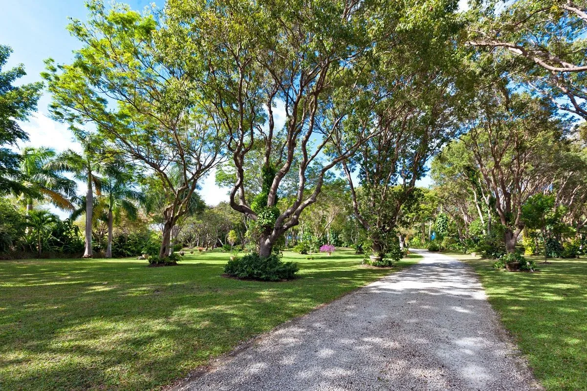 A gravel path winds through a sunny, tree-filled garden.