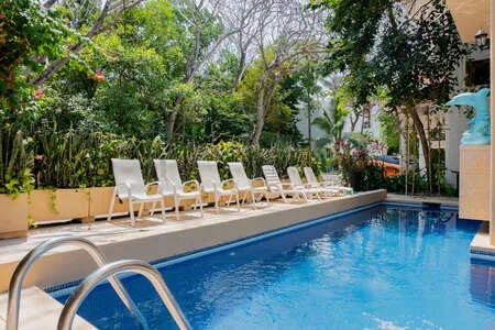 Una piscina está rodeada de asientos reclinables y abundante vegetación.