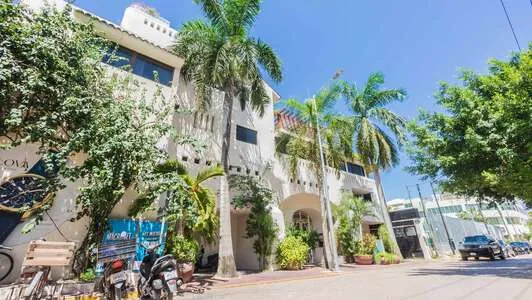 Royal Palms 4