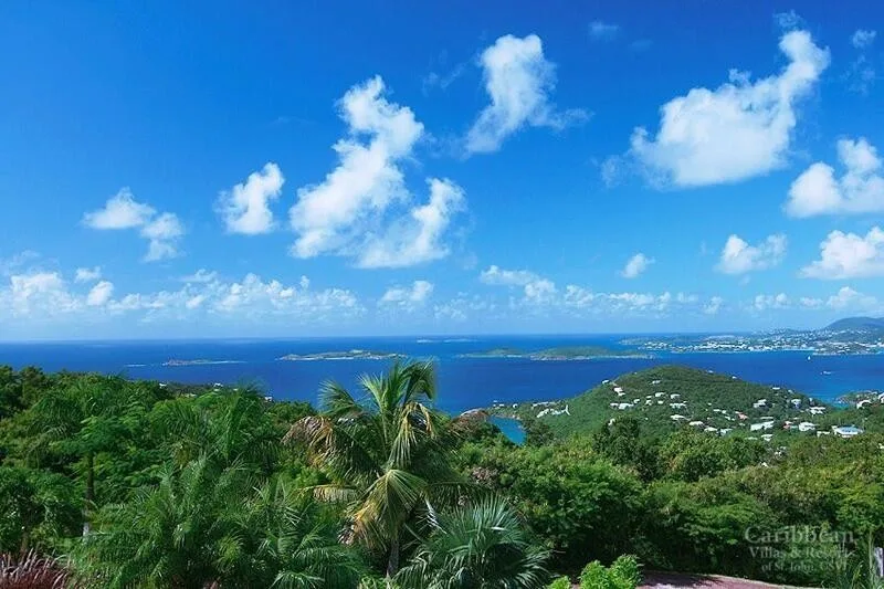 A coastal landscape with green vegetation and the ocean beneath a blue sky.