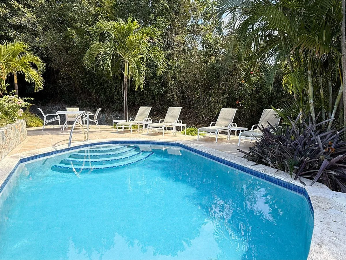 A swimming pool bordered by lounge seating and tropical plants.