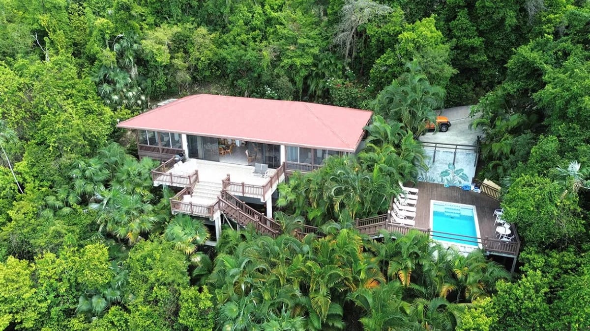 Anole aerial view