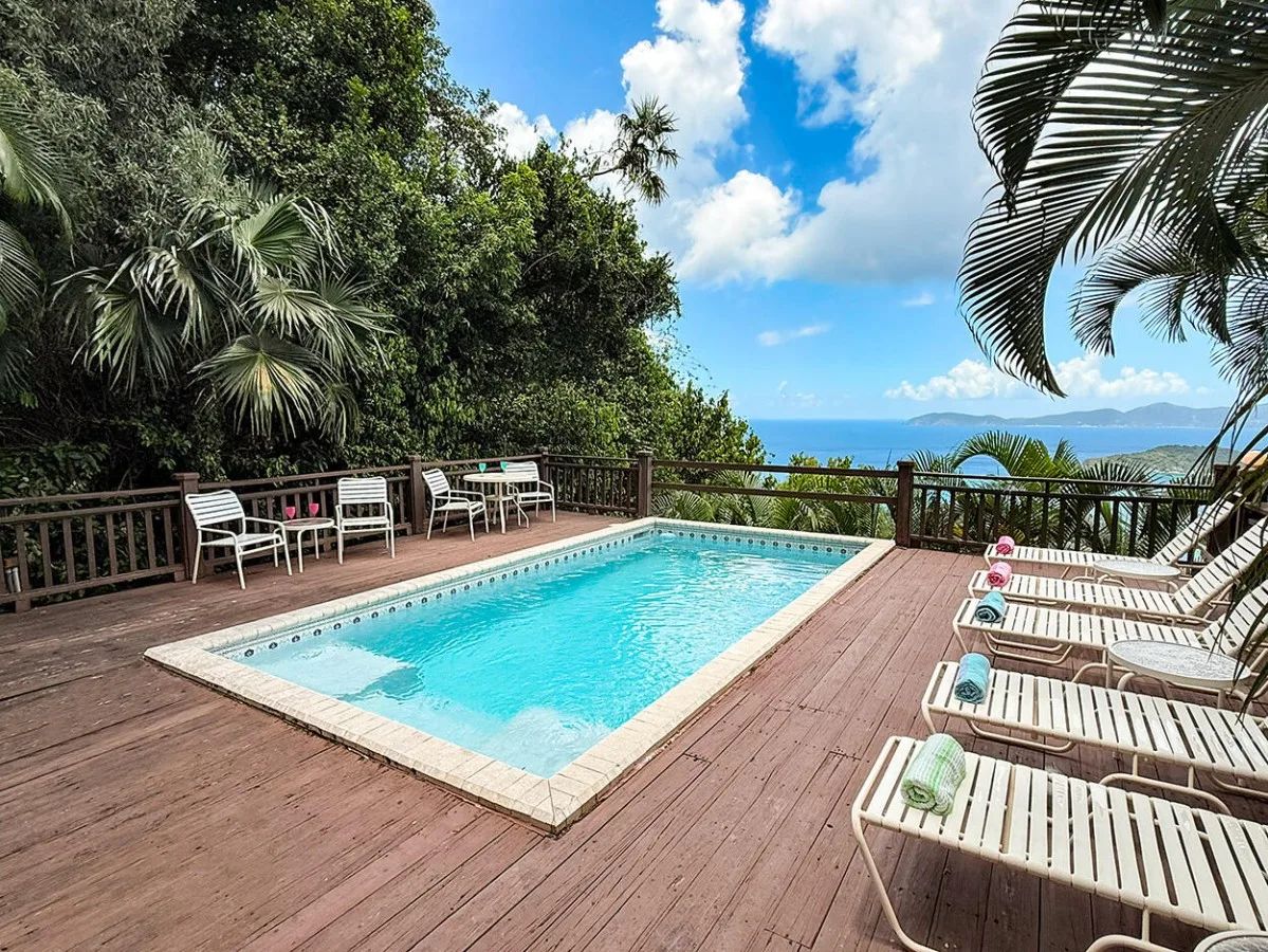 Anole pool lounge chairs