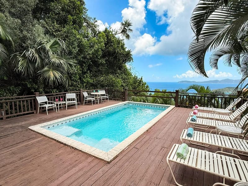 Anole pool lounge chairs