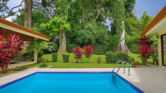 Pool and garden