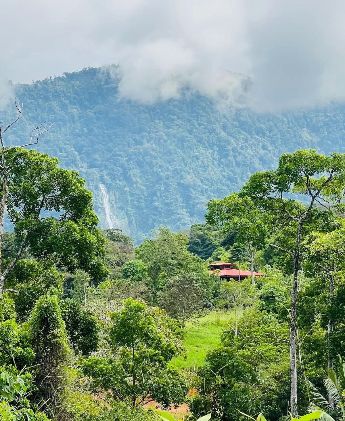 Casa Quetzal Jungle Treehouse•6 Private Waterfalls