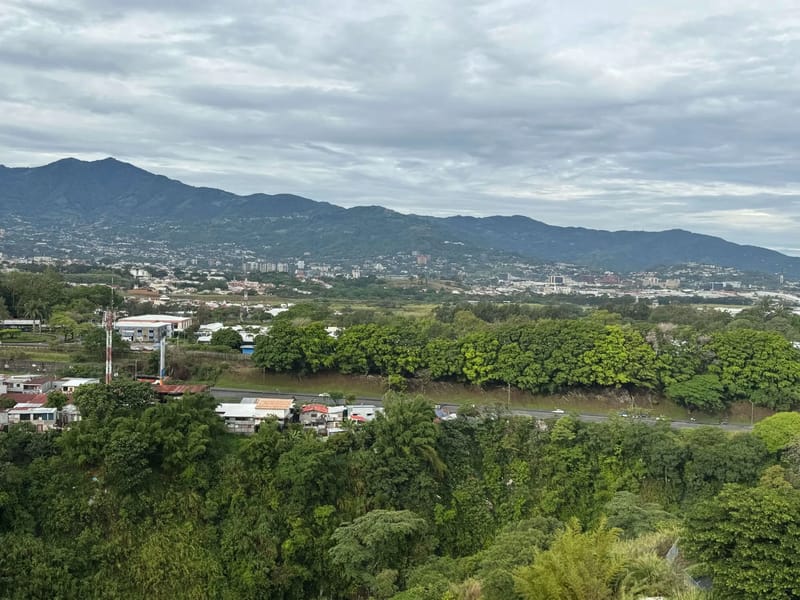 1203 Bambu 106 Heredia
