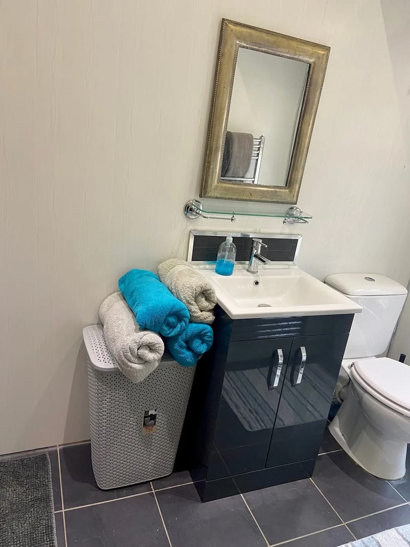 Lavabo del baño