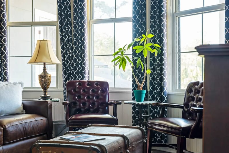 Acogedora sala de estar con sillones de cuero, una mesa de centro tipo baúl, una planta en maceta, una lámpara decorativa y cortinas estampadas.