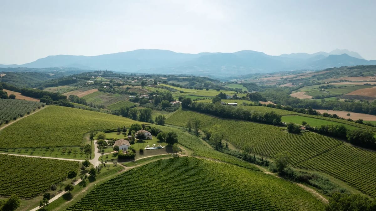 LA CASA NEI VIGNETI 10 - Abruzzo