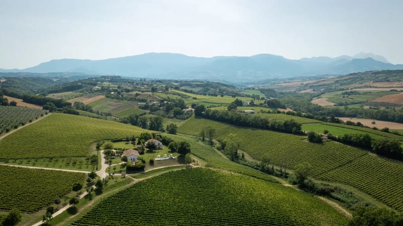 LA CASA NEI VIGNETI 10 - Abruzzo