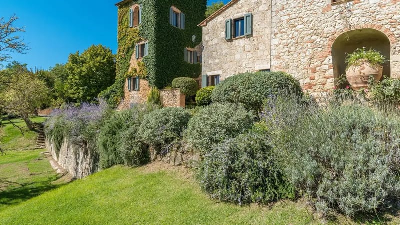 MONTICCHIA 6 - Tuscany