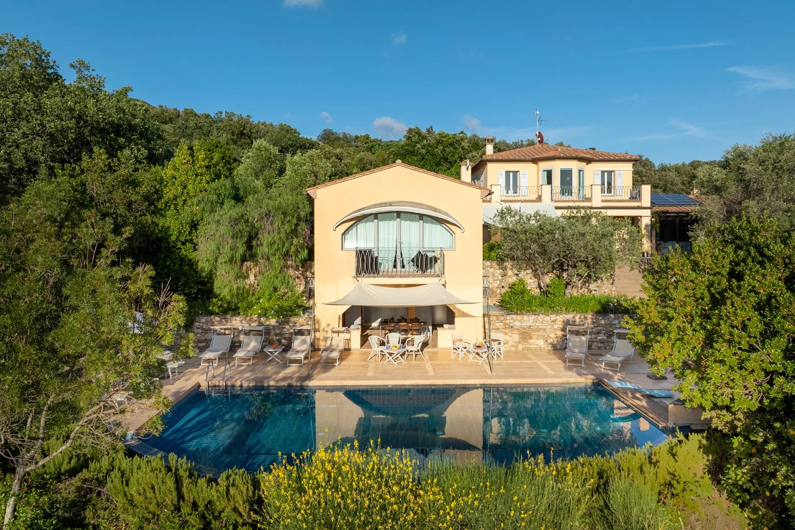 Una casa en una ladera da a una piscina rodeada de vegetación.