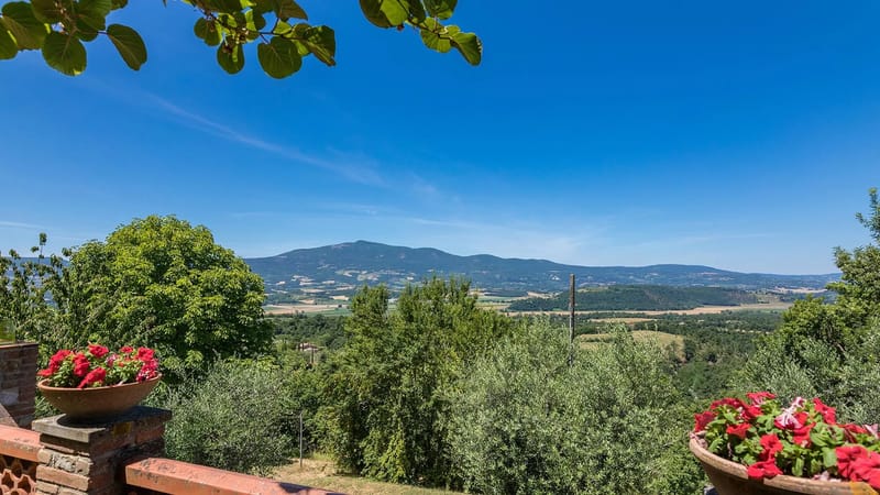POGGIO MEDEI 10 - Umbria