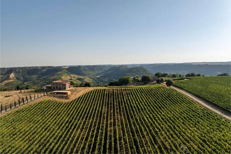 TENUTA ORSINI 9+3 - Lazio