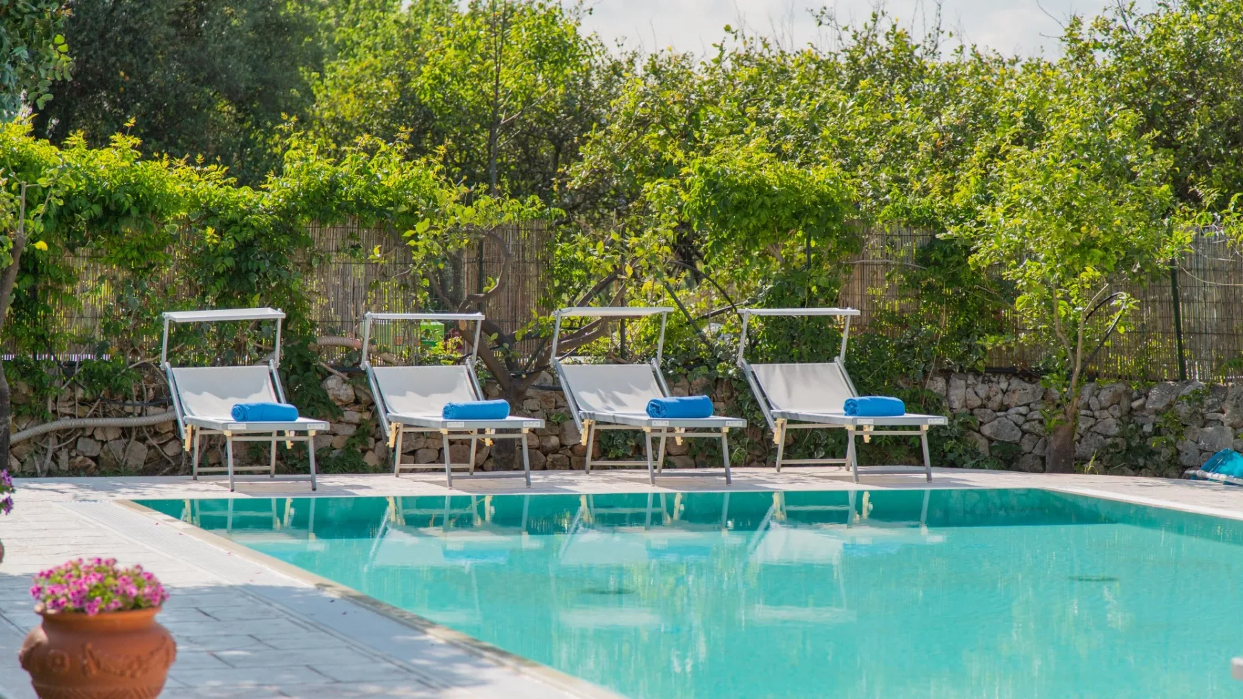 IL GIARDINO DEI LIMONI 8 - Sicily