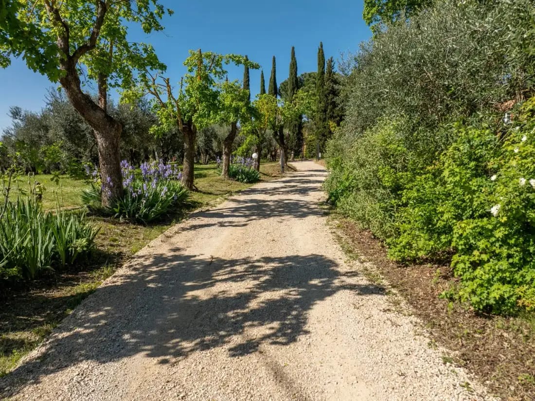 SANGIOVESE 14 - Tuscany