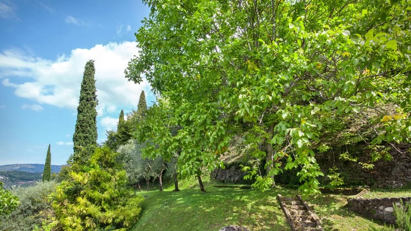 CA CANTONI 8+2 - Veneto