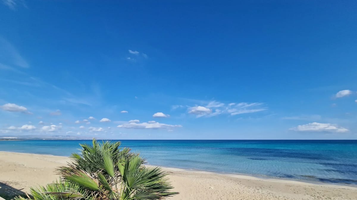 PALMENTO SAN LORENZO 6 - Sicily