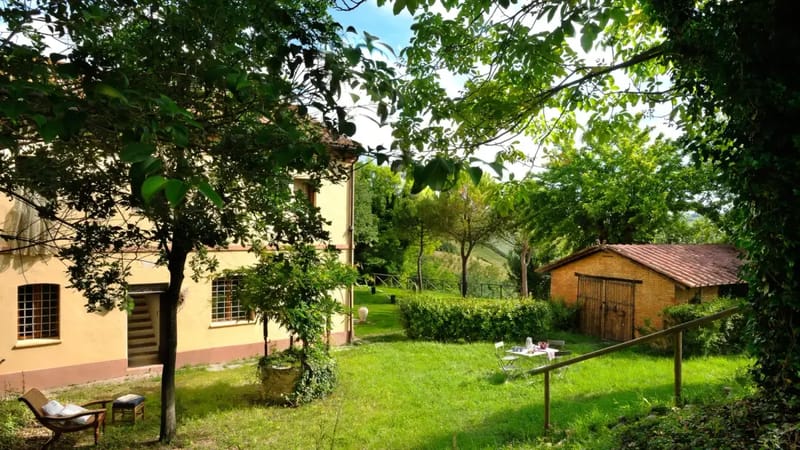 LUCE TRA I FAGGI 8 - Marche