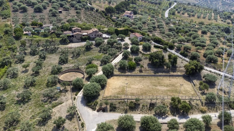 VILLA PASSULUNARA 14 - Sicily