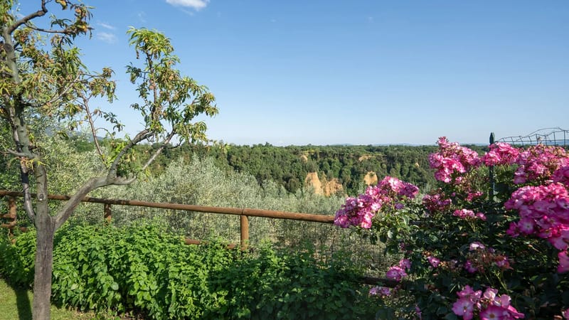 BUCA DELLE FATE 8 - Tuscany