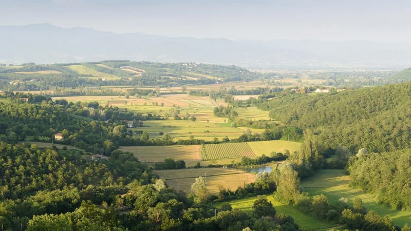 VILLA VITTORIA D'ANGHIARI 7+3 - Tuscany