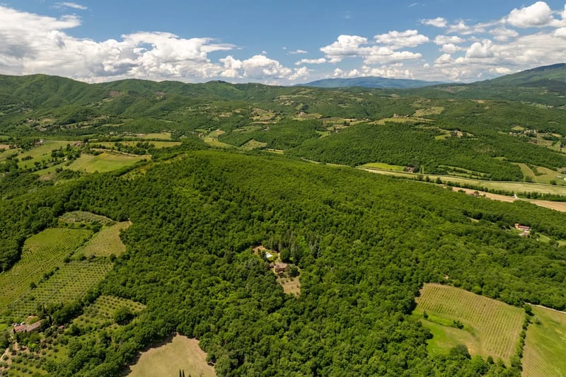 VILLA PALAZZOLO 8 - Tuscany