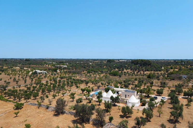 TRULLI FIORI DI MANDORLO 6 - Puglia