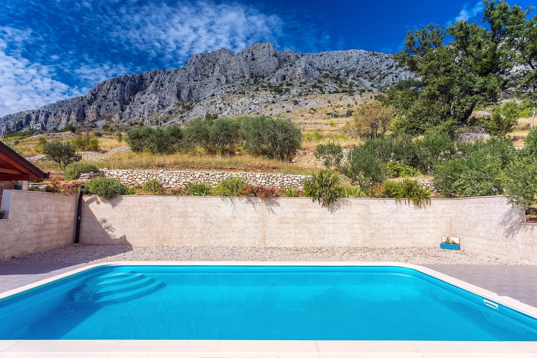Pool surrounded by nature and mountains