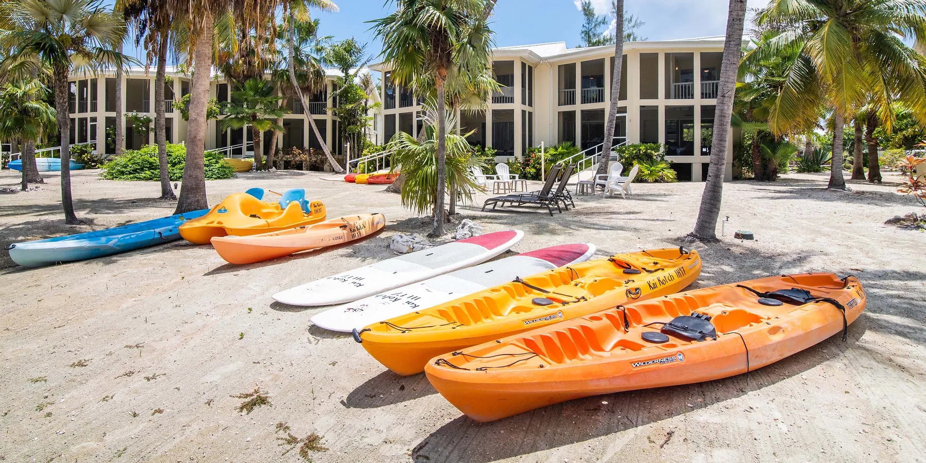 Several kayaks and paddleboards rest on the sandy ground beside palm trees.