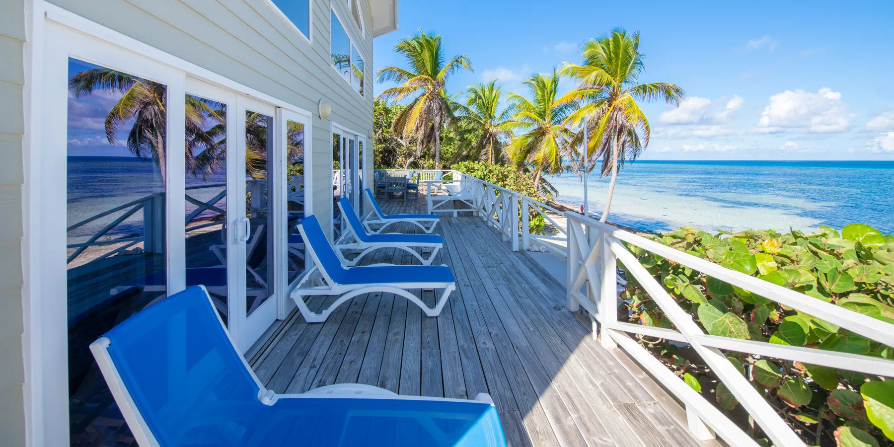 Una terraza junto al mar con tumbonas azules mira hacia palmeras y el océano.