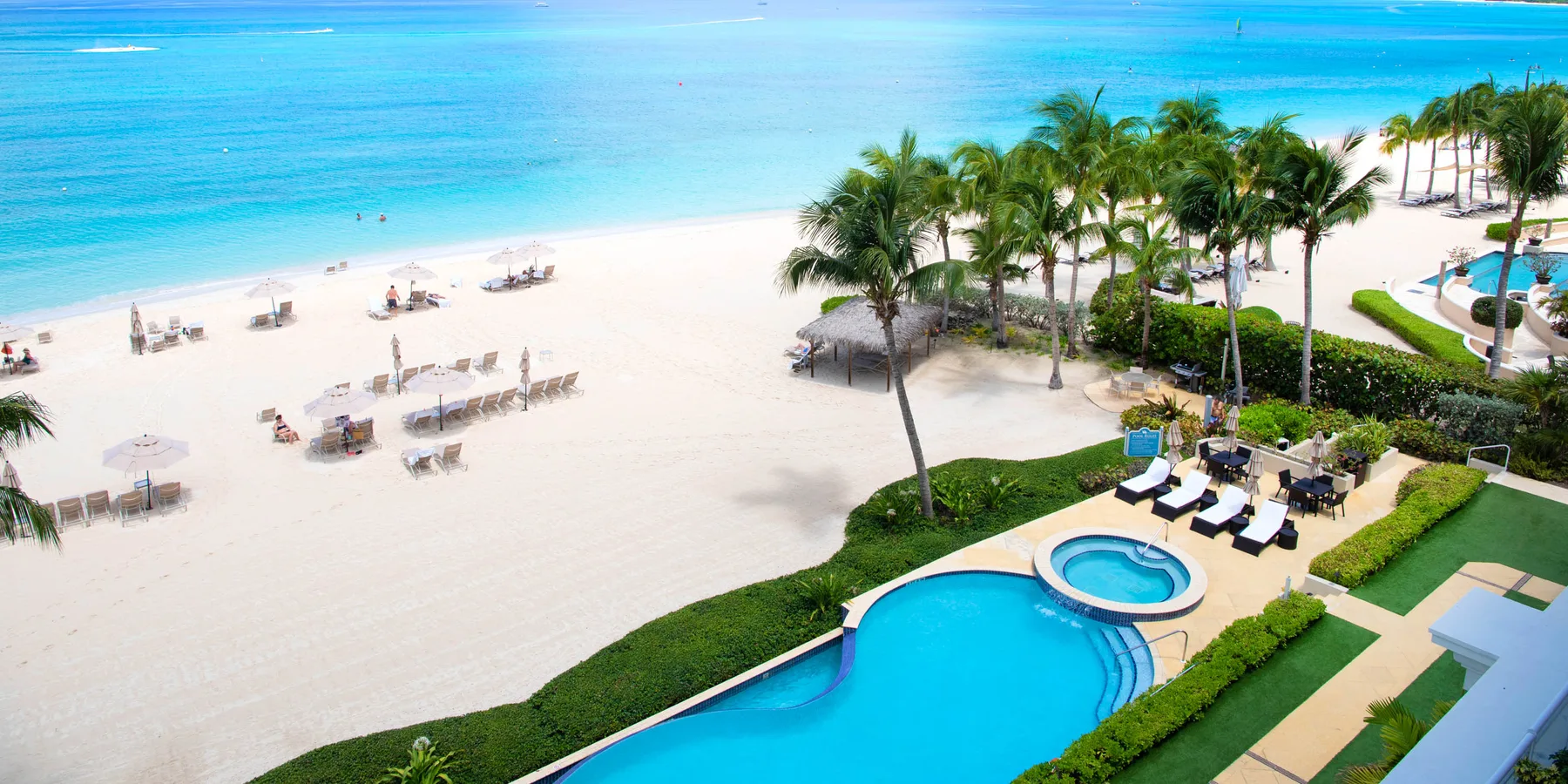 Una playa tropical y una piscina turquesa están rodeadas de palmeras y vegetación.