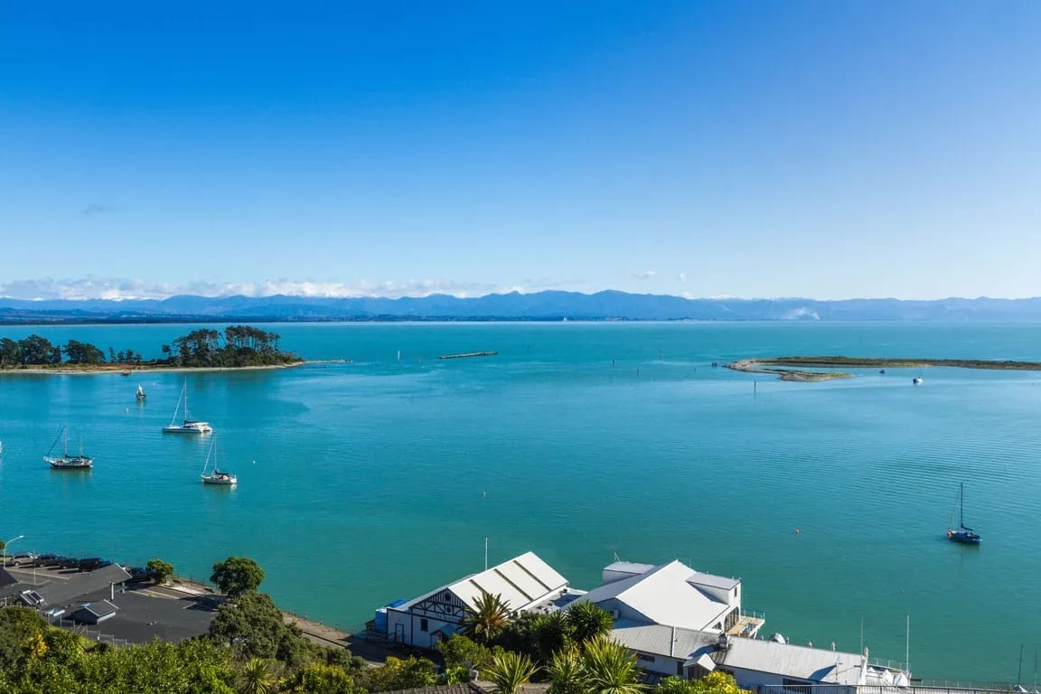 Harbour View