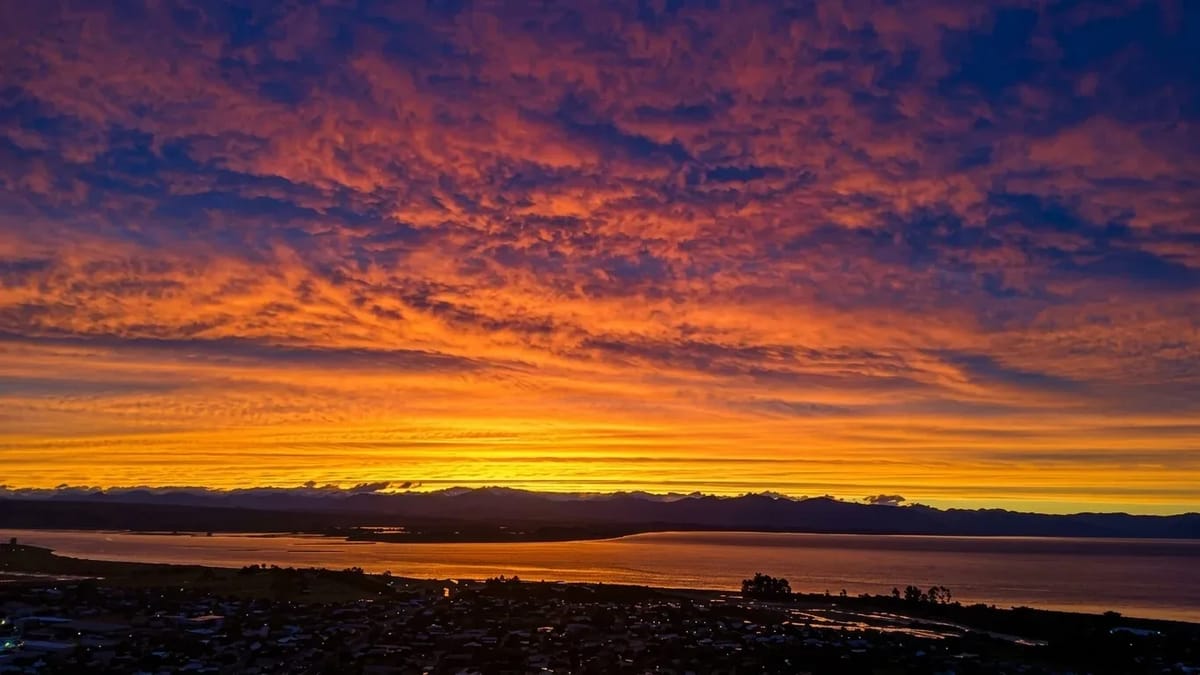 Tasman Vista