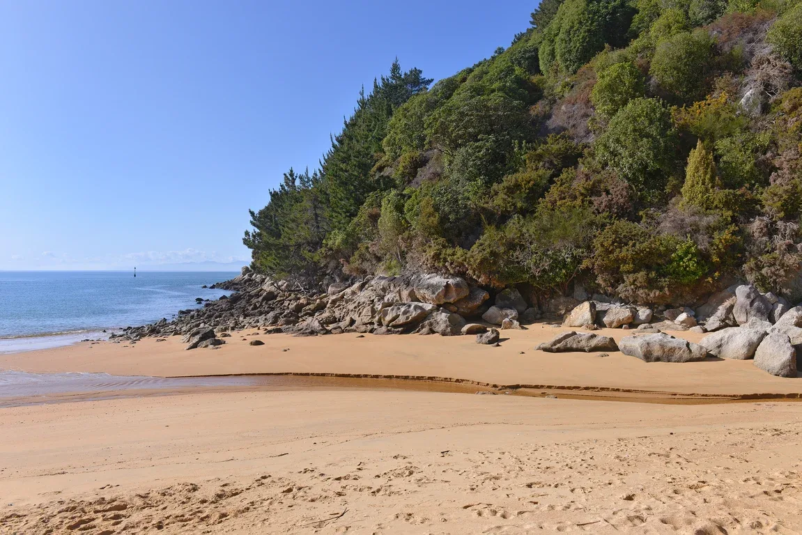 Ngaio Beach House