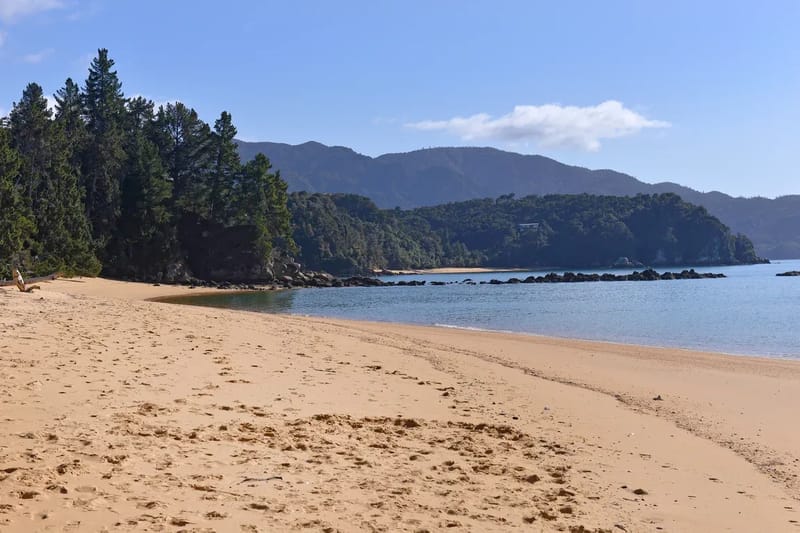 Ngaio Beach House