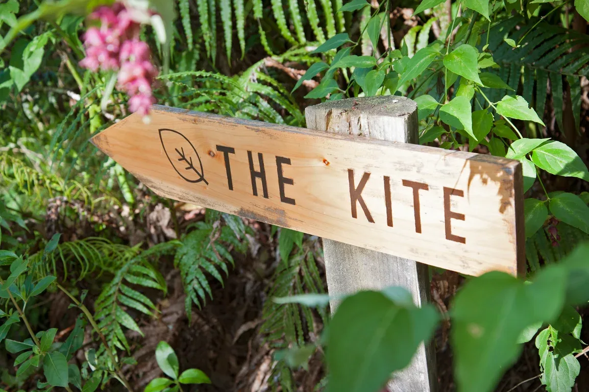 The Kite