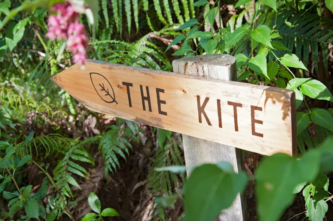 The Kite