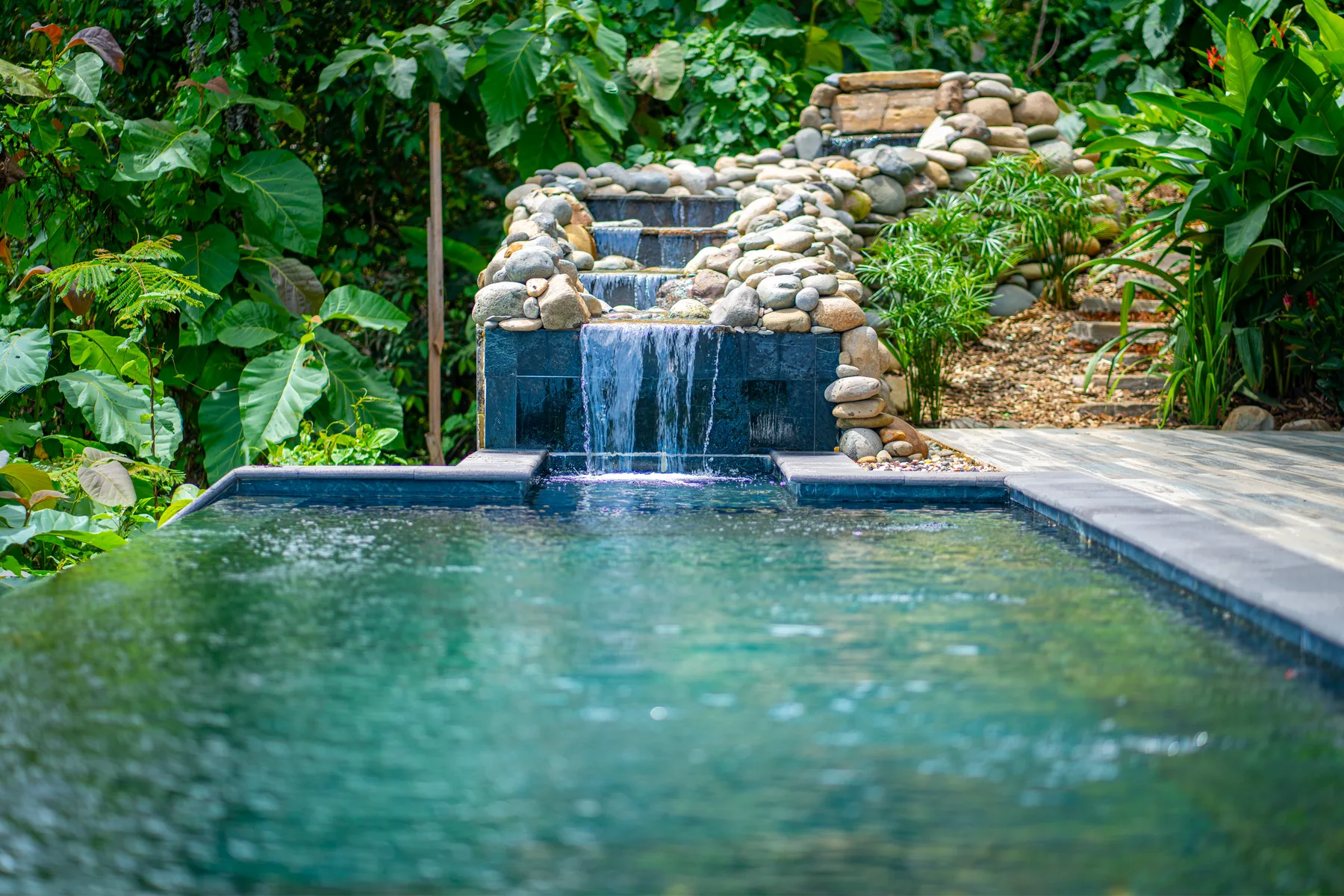 A garden pool sits below a small waterfall surrounded by rocks and greenery.