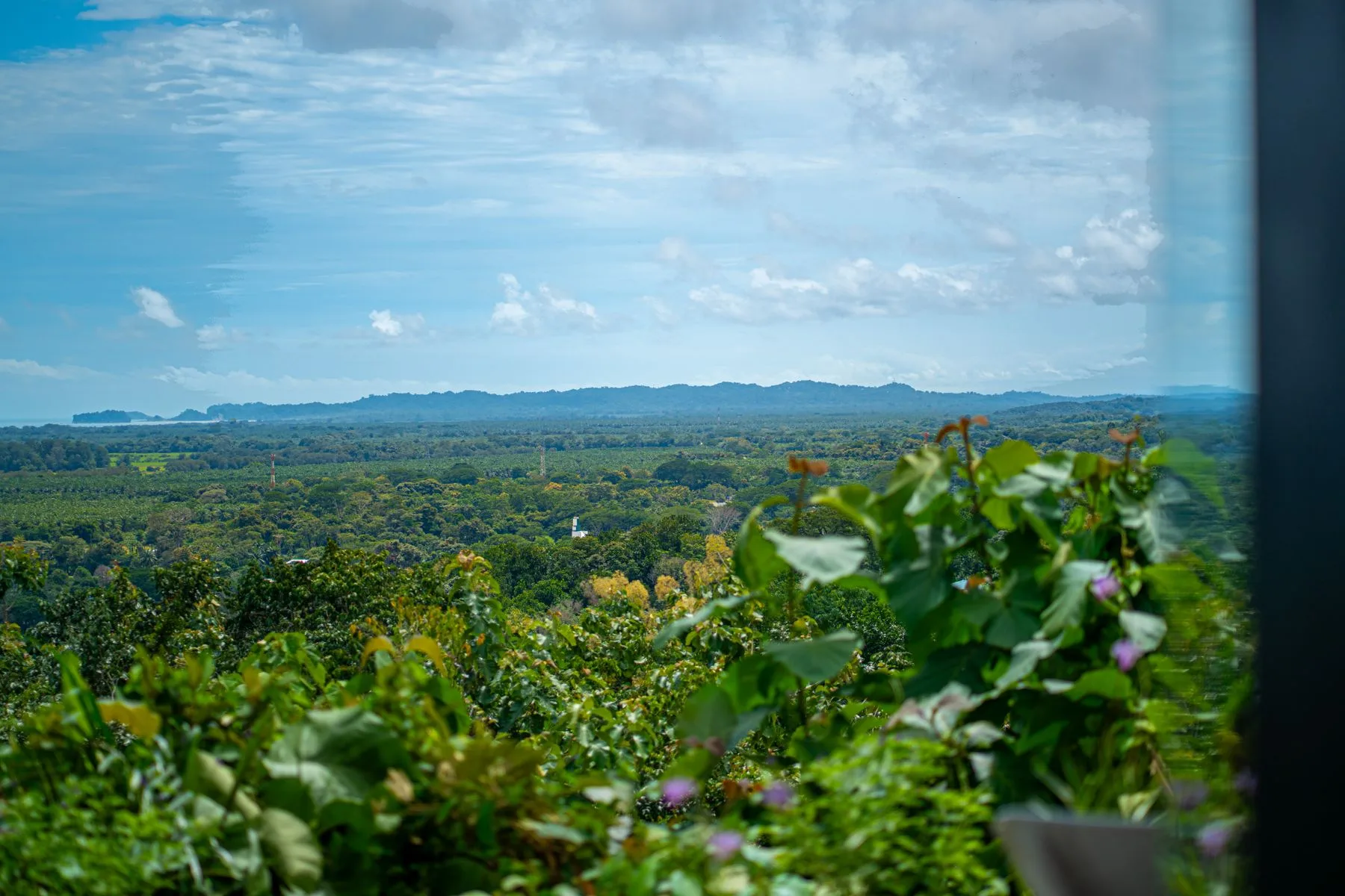 A green landscape stretches toward distant hills beneath a partly cloudy sky.
